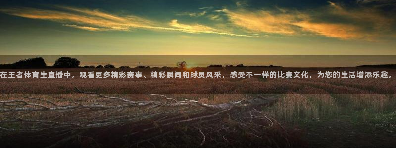 欧联杯直播360：在王者体育生直播中，观看更多精彩赛事、精彩瞬间和球员风采，感受不一样的比赛文化，为您的生活增添乐趣。