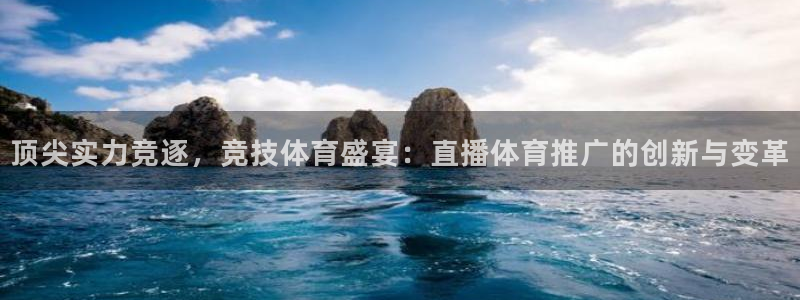 360足球直播在线直播观看：顶尖实力竞逐，竞技体育盛宴：直播体育推广的创新与变革