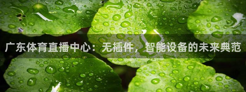 雨燕360体育免费直播nba下载：广东体育直播中心：无插件，智能设备的未来典范