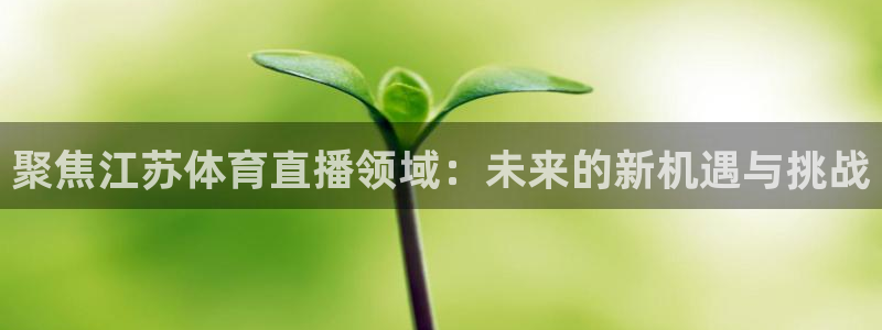 360雨燕免费直播足球比赛：聚焦江苏体育直播领域：未来的新机遇与挑战