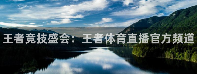 雨燕360体育直播免费：王者竞技盛会：王者体育直播官方频道