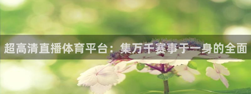 360直播山东体育直播：超高清直播体育平台：集万千赛事于一身的全面
