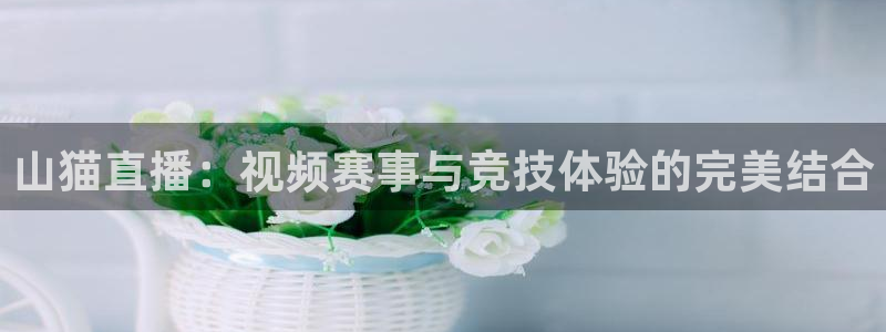 360直播在线观看nba：山猫直播：视频赛事与竞技体验的完美结合