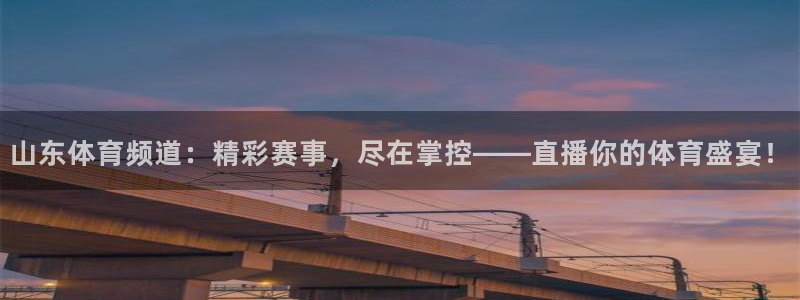 360绿色直播体育直播nba直播：山东体育频道：精彩赛事，尽在掌控——直播你的体育盛宴！