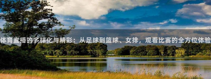 360直播足球直播在线直播：体育直播的多样化与精彩：从足球到篮球、女排，观看比赛的全方位体验