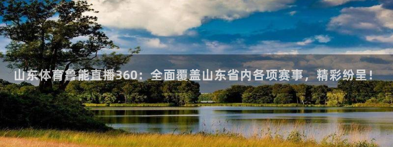 360体育直播.：山东体育鲁能直播360：全面覆盖山东省内各项赛事，精彩纷呈！