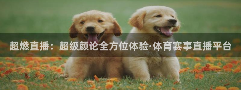雨燕360体育nba季前赛：超燃直播：超级颜论全方位体验·体育赛事直播平台