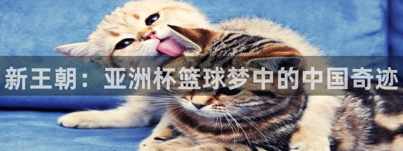 360体育足球直播平台