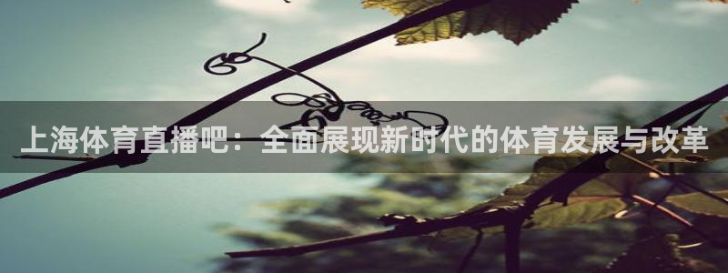 360直播网最用心的体育比赛：上海体育直播吧：全面展现新时代的体育发展与改革
