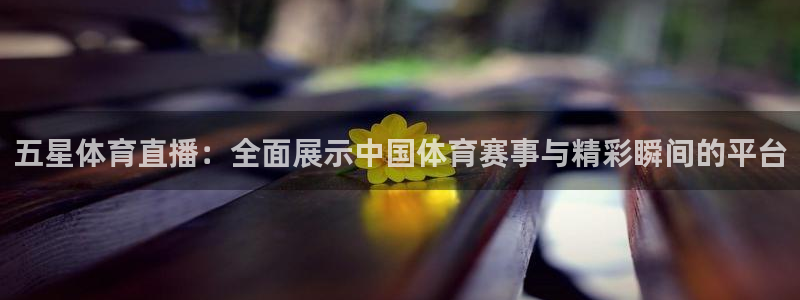 广东360体育频道在线直播高清