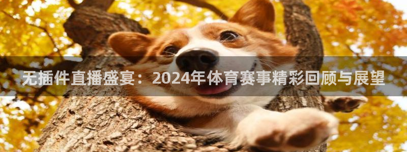 360体育直播下载安卓版下载